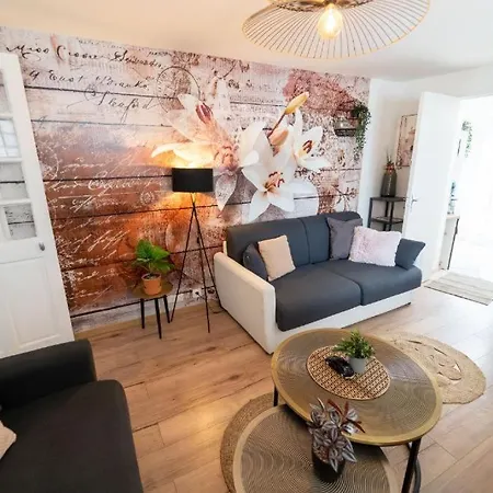Lejlighed Grand Appart Terrasse Parking Jacuzzi